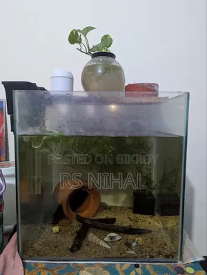 Cube Aquarium Planted
