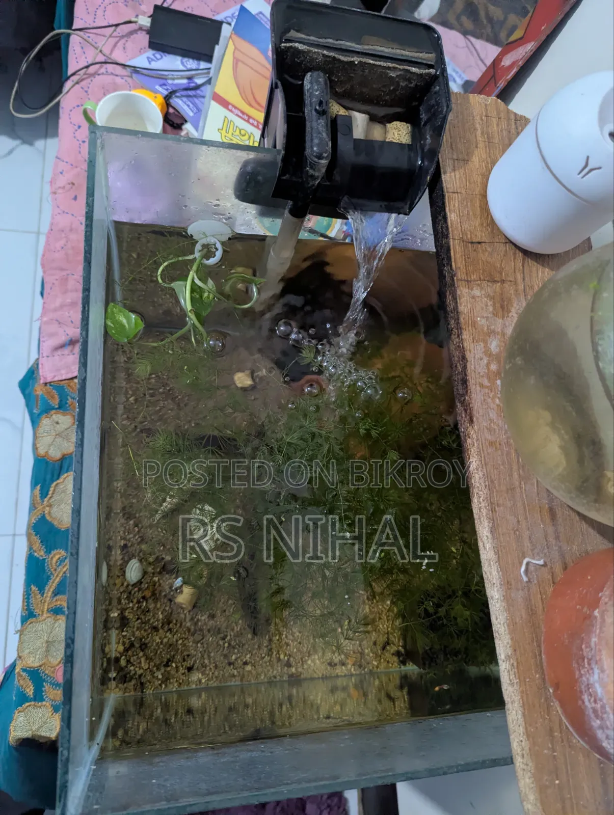 Cube Aquarium Planted