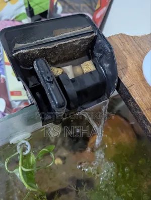 Cube Aquarium Planted