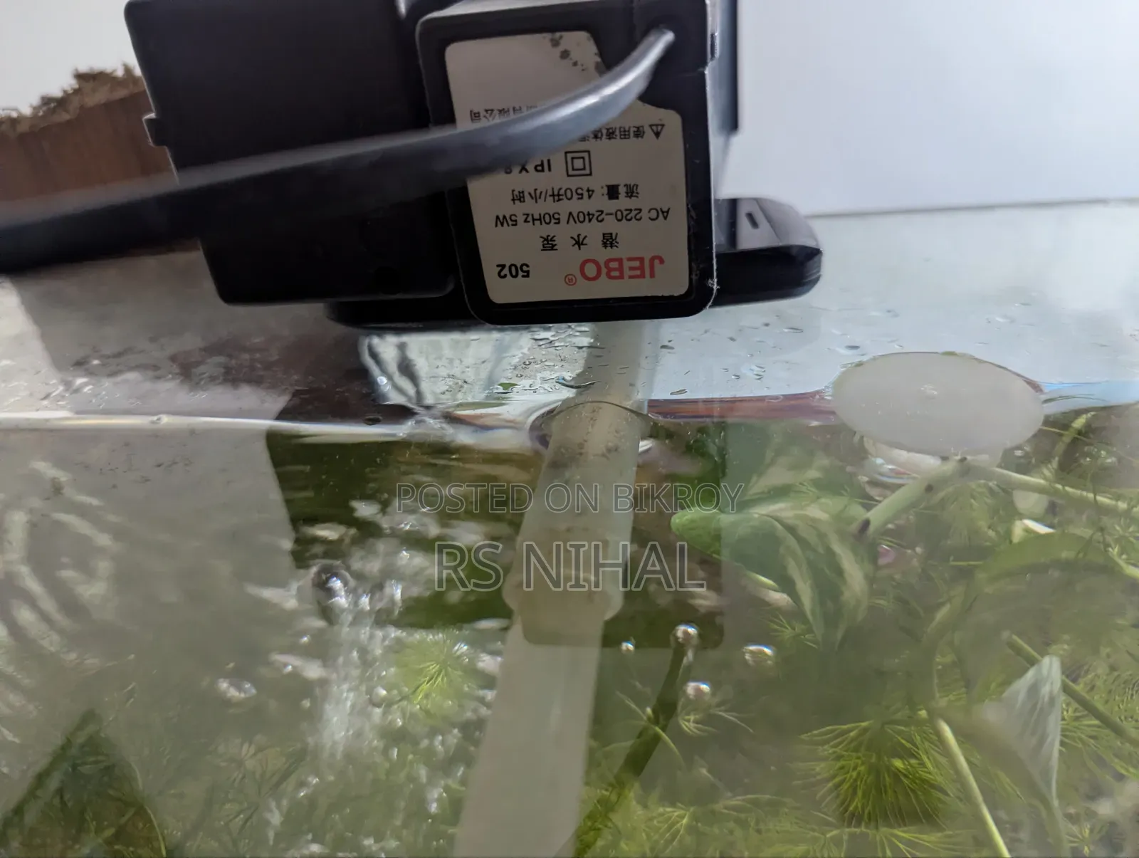 Cube Aquarium Planted