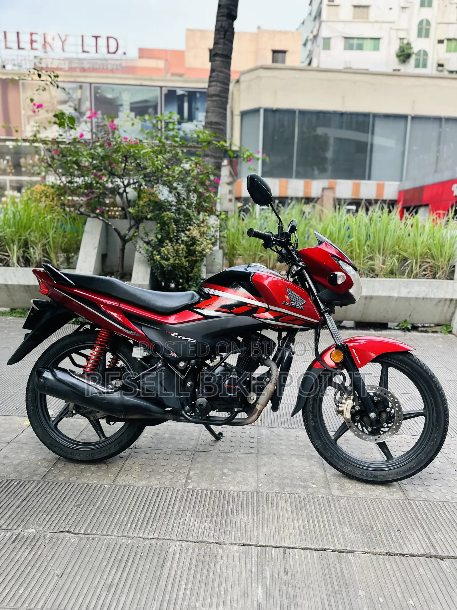 Honda 2024 Black