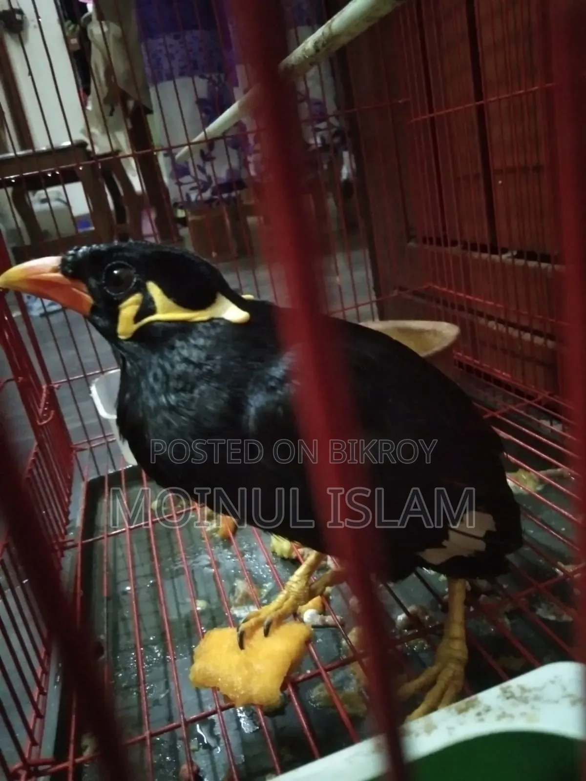 বিক্রি করা হবে