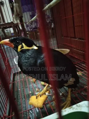 বিক্রি করা হবে