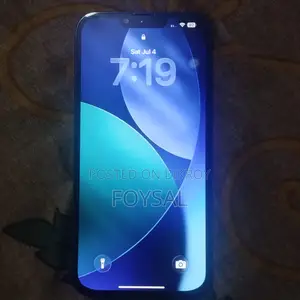 অ্যাপল আইফোন ১৩ প্রো ম্যাক্স ২৫৬ জিবি ব্লু