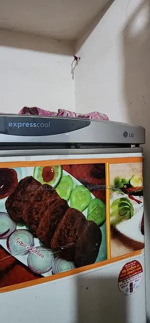 ফ্রিজ ভালো কন্ডিশন
