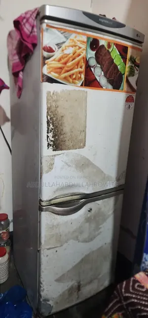 ফ্রিজ ভালো কন্ডিশন