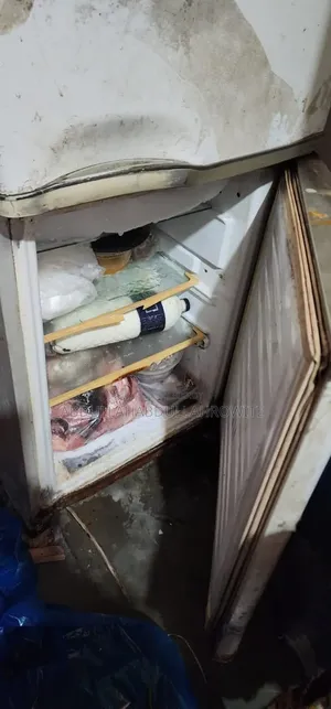 ফ্রিজ ভালো কন্ডিশন
