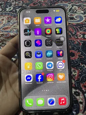 Apple iPhone 15 Pro Max 256 GB