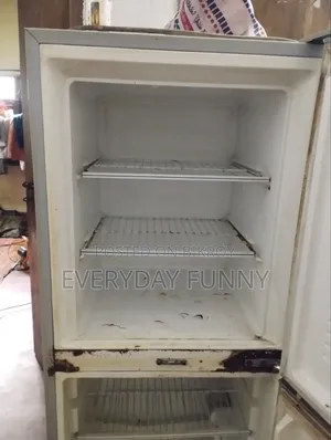 Selling a Singer Refrigerator, currently running, only the door has a slight gap