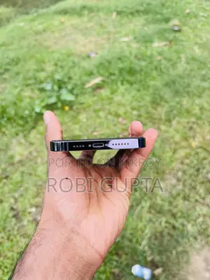 অ্যাপল আইফোন ১৪ প্রো ম্যাক্স ২৫৬ জিবি পার্পল