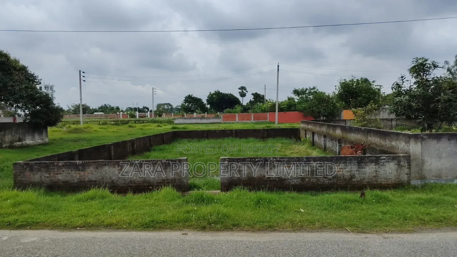 কম বাজেটে জরুরি প্রয়োজনে ৫ কাঠা প্লট ১১ নং সেক্টরে।