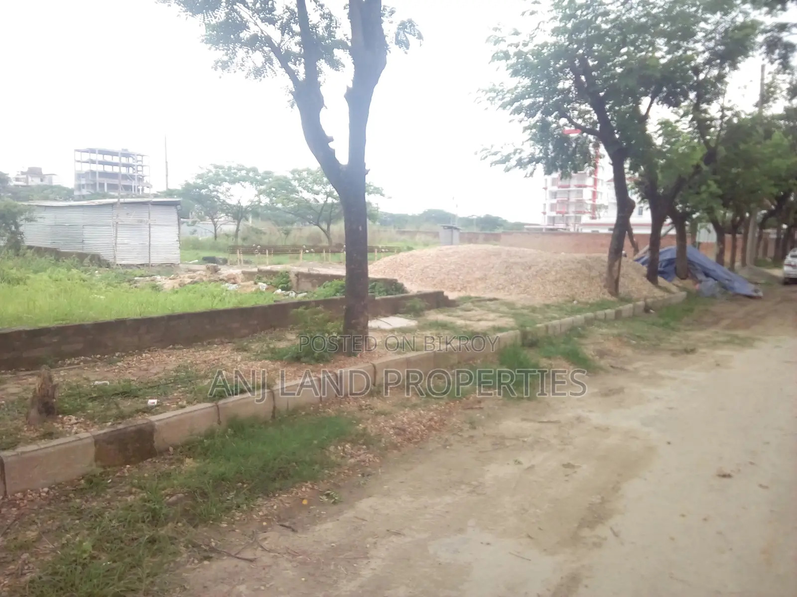 এম- ব্লক ১৬০০ সিরিয়ালে ৫-কাঠা প্লট বিক্রয় মালিক দেশে