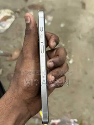 Apple iPhone 15 Pro Max 256 GB