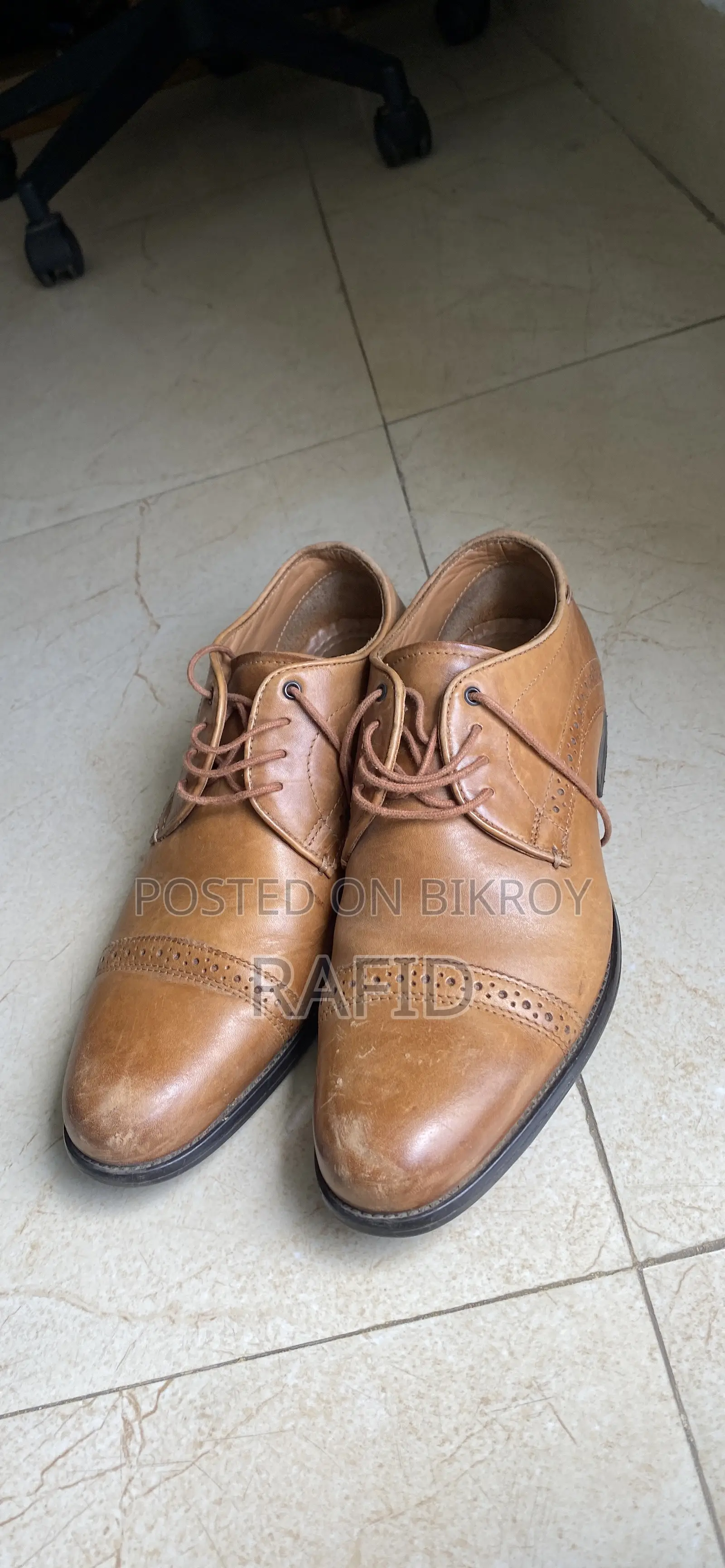 Apex Venturini Shoe