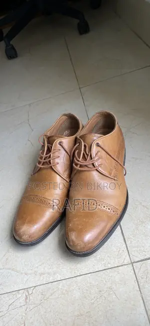 Apex Venturini Shoe