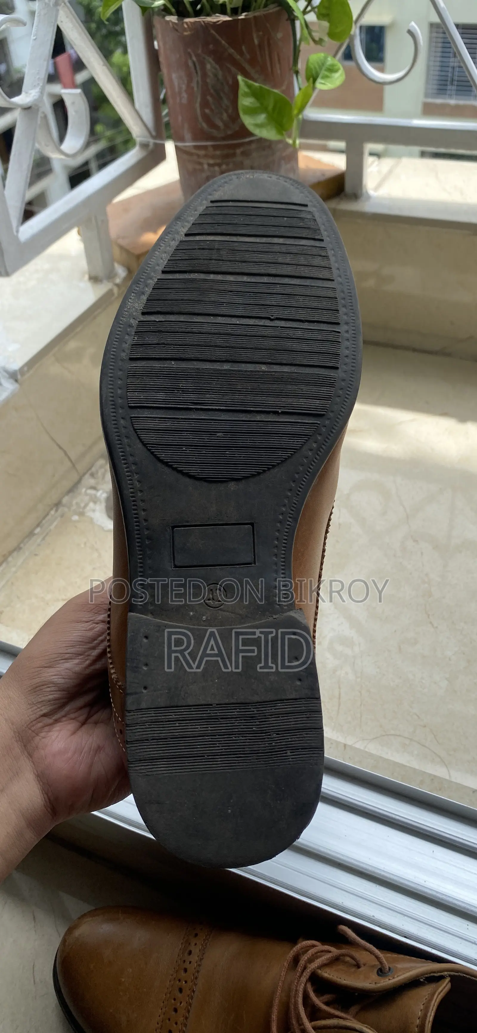 Apex Venturini Shoe
