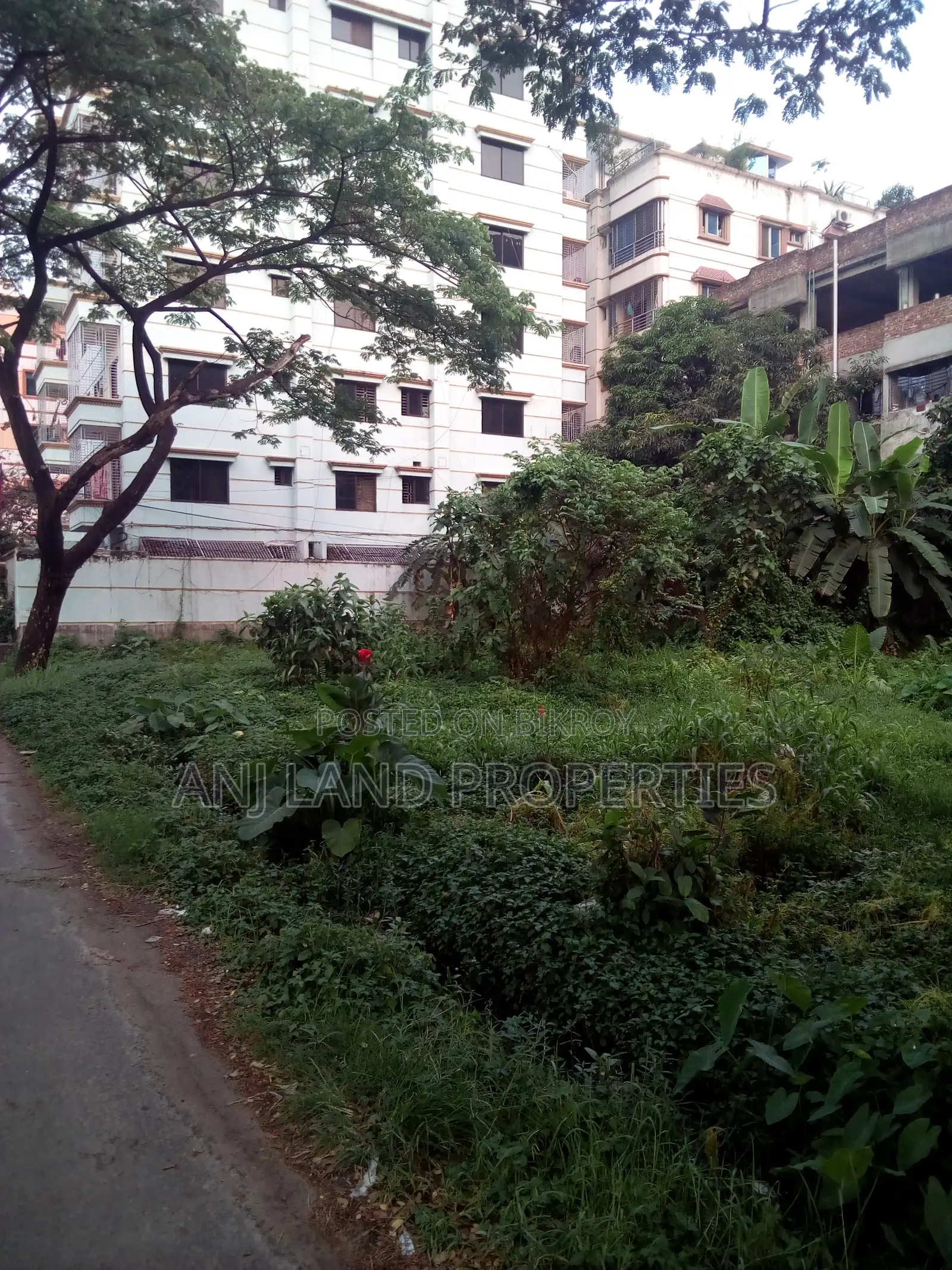 G-Block 3+3=6 Katha South Facing Plot For Sale, Owner Urgent Abroad