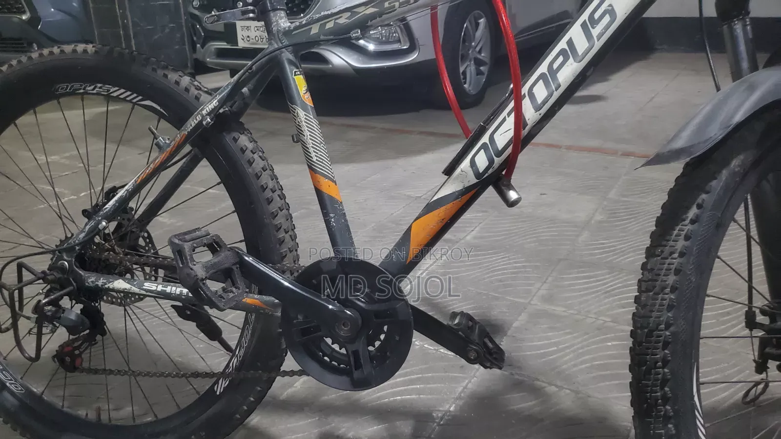 Octopus Brand cycle