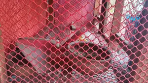Chicken Coop
