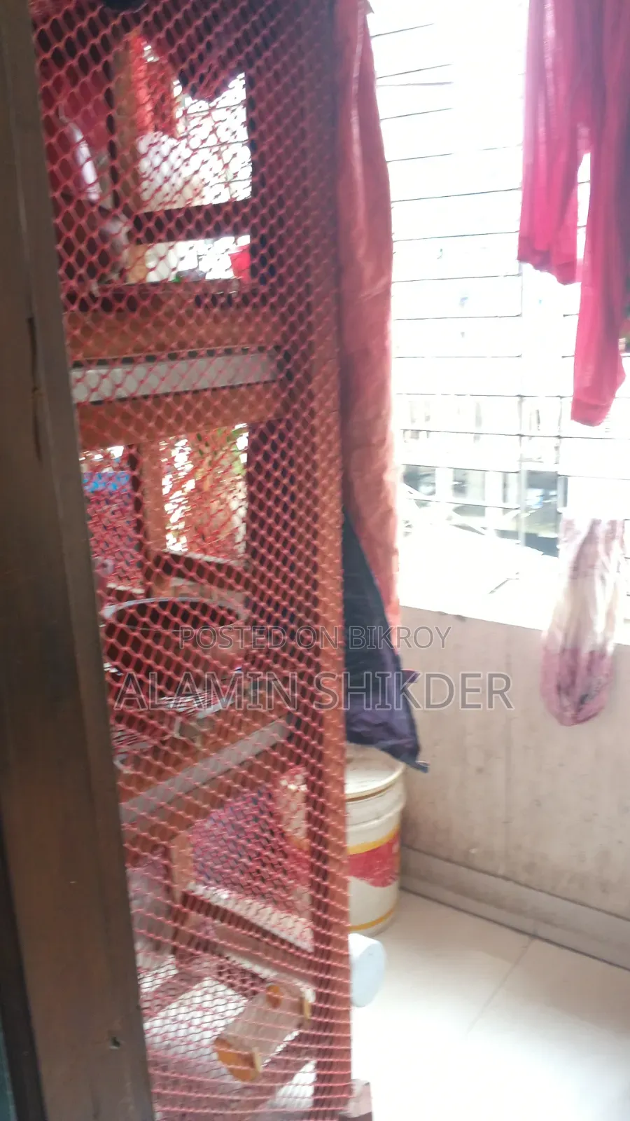 Chicken Coop