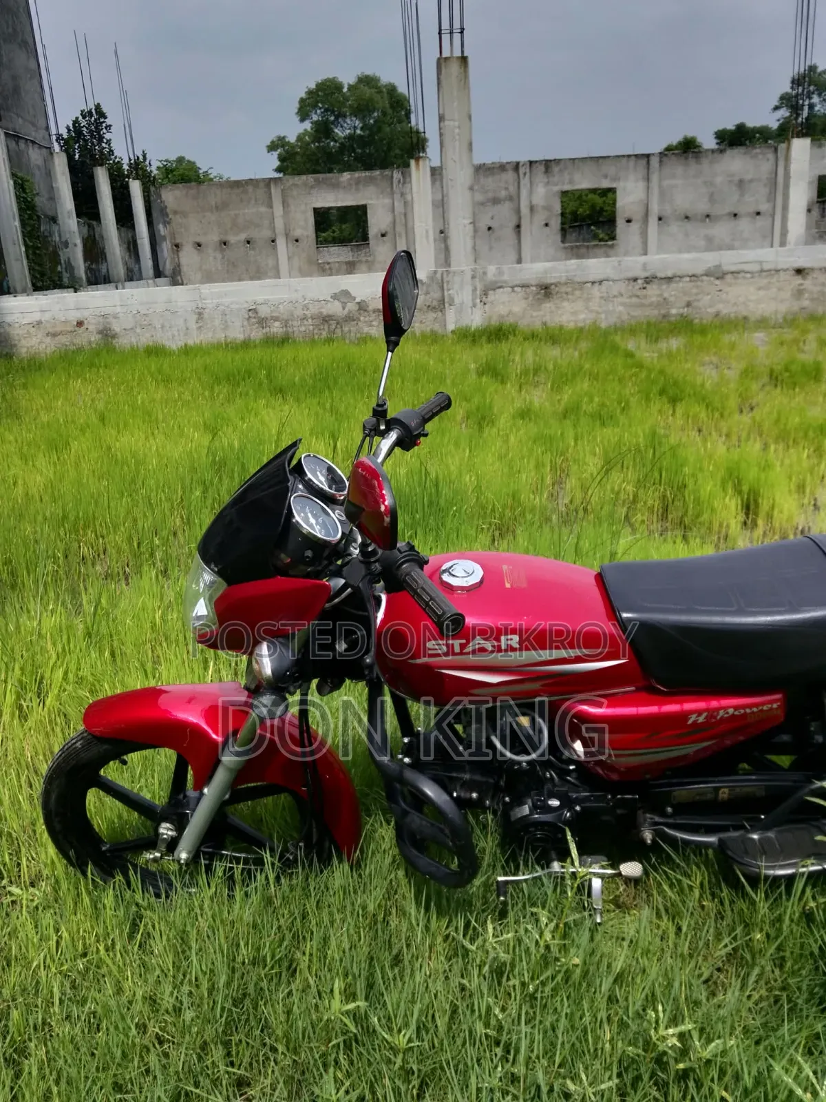 নিউ এইচ পাওয়ার স্টার-৮০ ২০২৪ রেড