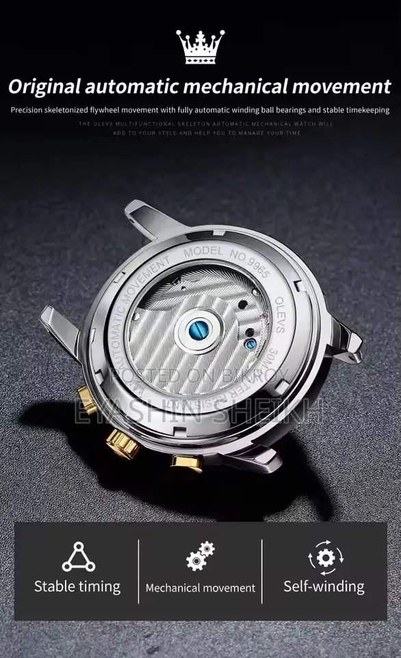Olevs 9965 Men's Watch Luxury Brand Automatic Mechanical Waterproof