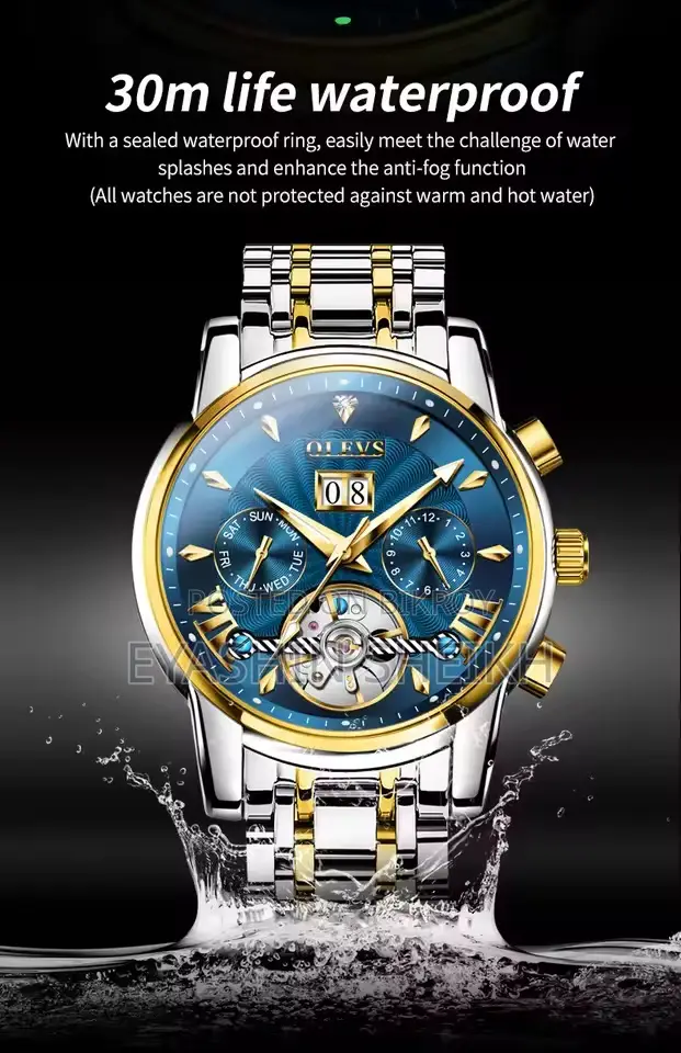 Olevs 9965 Men's Watch Luxury Brand Automatic Mechanical Waterproof
