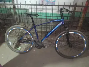 Veloce Outrage Gear Cycle