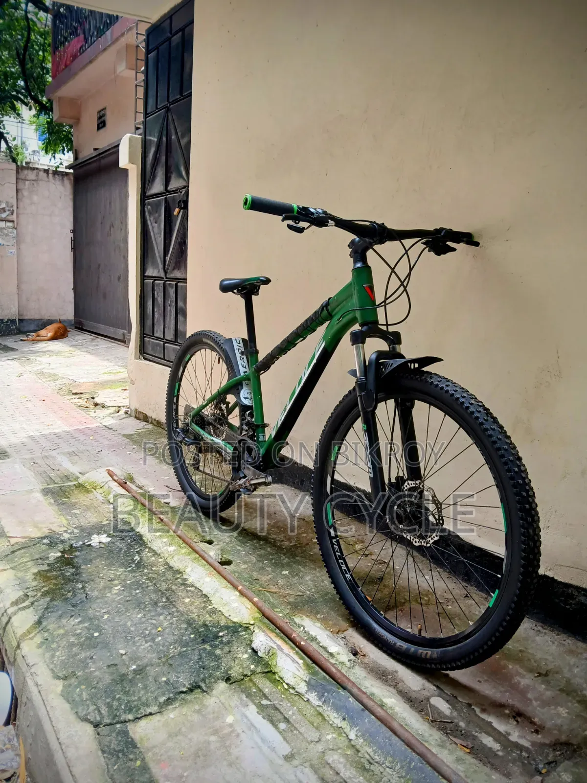Veloce Master 27.5"
