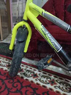16" Baby Cycle