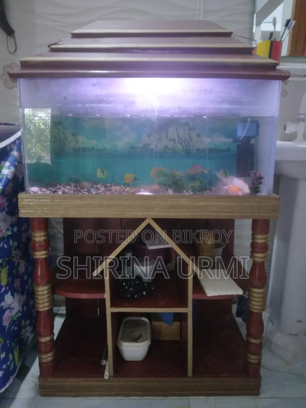 একটি অ্যাকোয়ারিয়াম বিক্রির জন্য (সেকেন্ড হ্যান্ড)