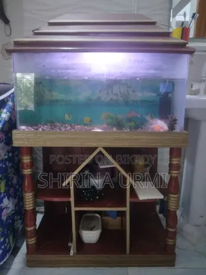একটি অ্যাকোয়ারিয়াম বিক্রির জন্য (সেকেন্ড হ্যান্ড)