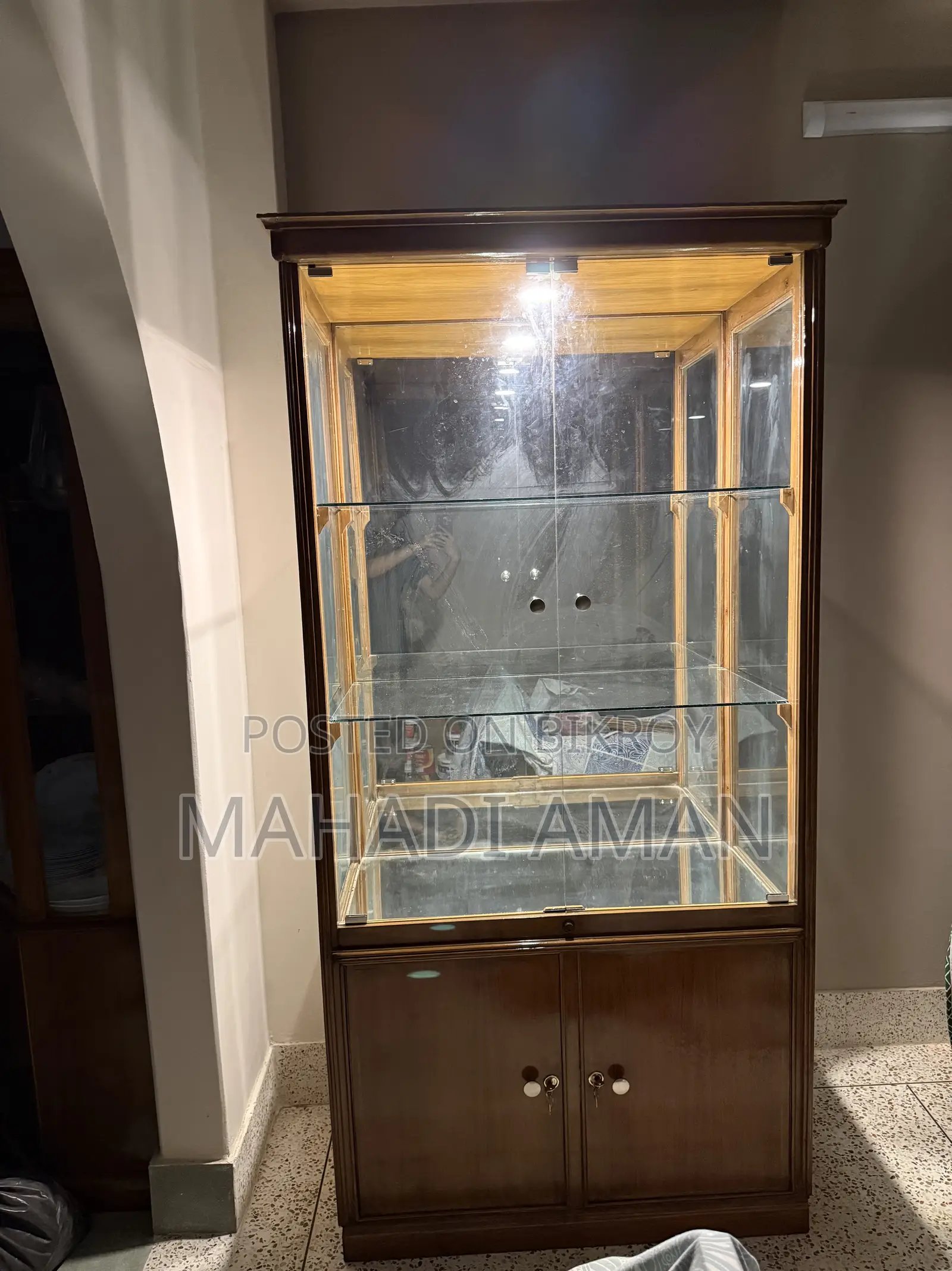 Segun Wood Glass Showcase With Light