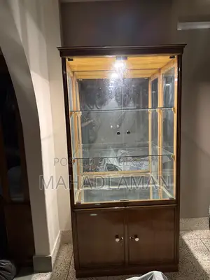 Segun Wood Glass Showcase With Light