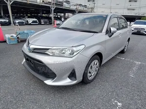 Toyota Axio 2021 Silver