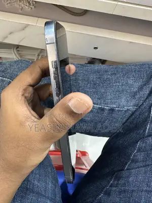 Apple iPhone 13 Pro Max 256 GB Blue