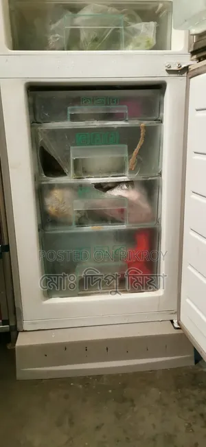 Jamuna Freeze