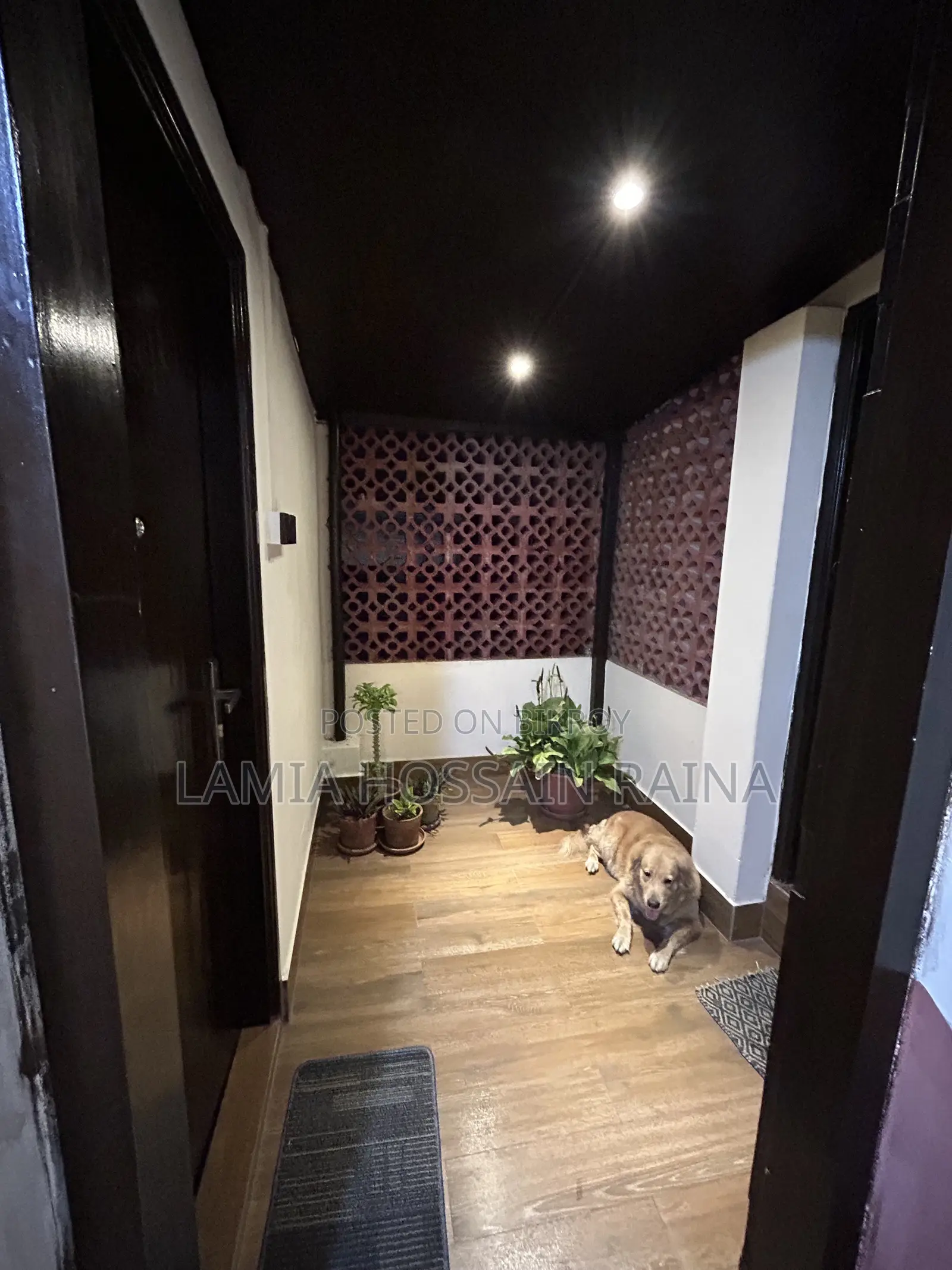 Furnished Mini Flat in the Little Loft, Baridhara DOHS for Rent