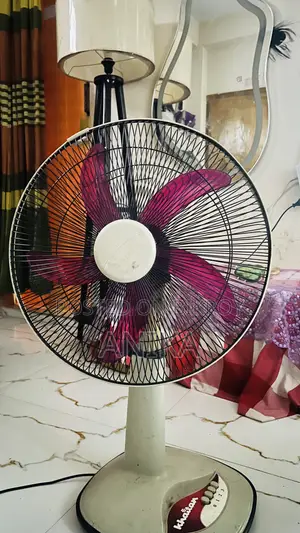 Stand Fan For Room