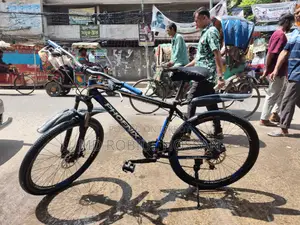Phoenix Bicycle