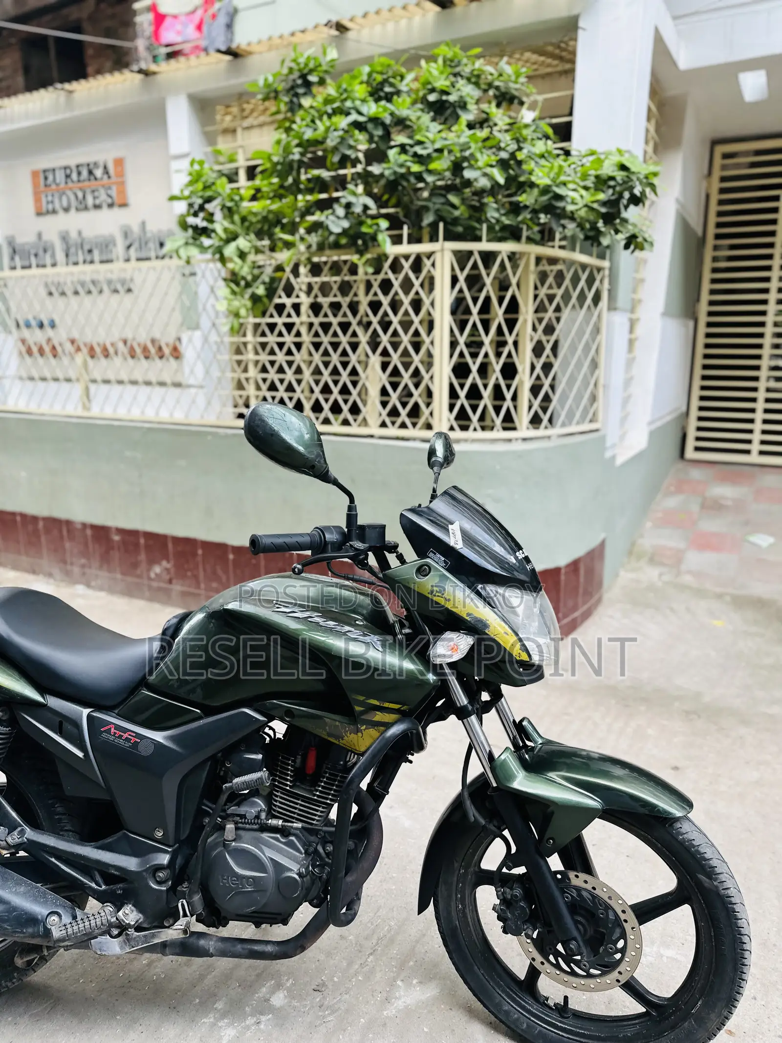 হিরো হাঙ্ক ২০১৯ সবুজ