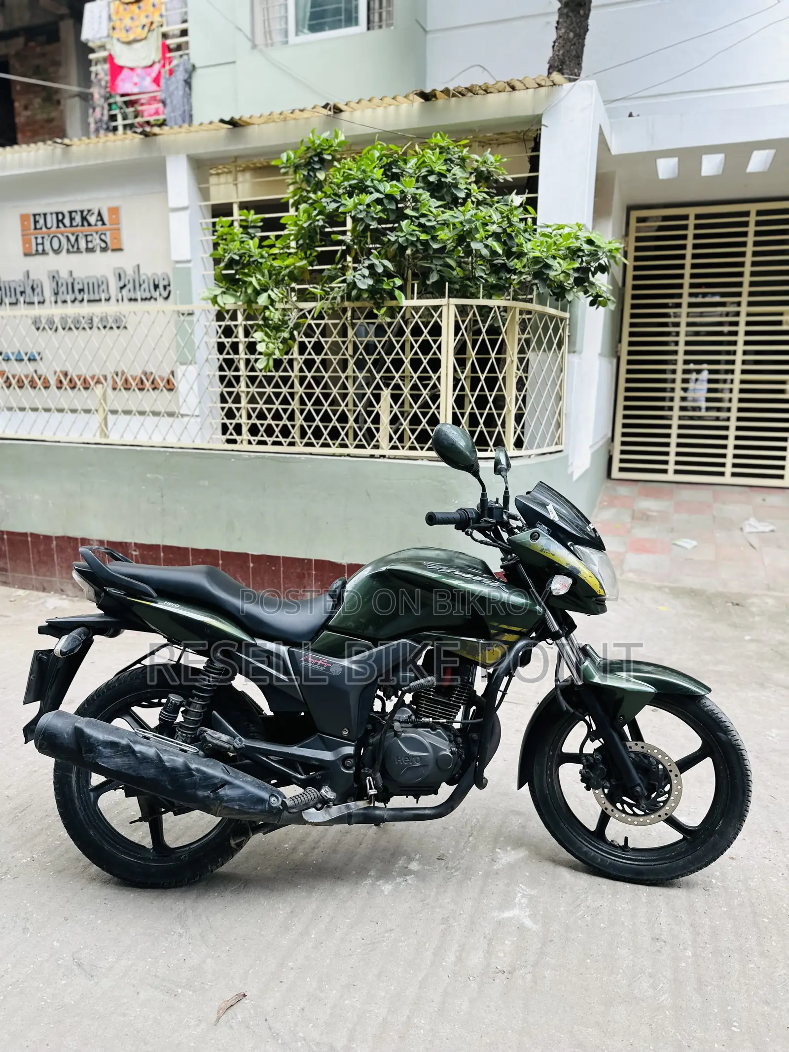 হিরো হাঙ্ক ২০১৯ সবুজ