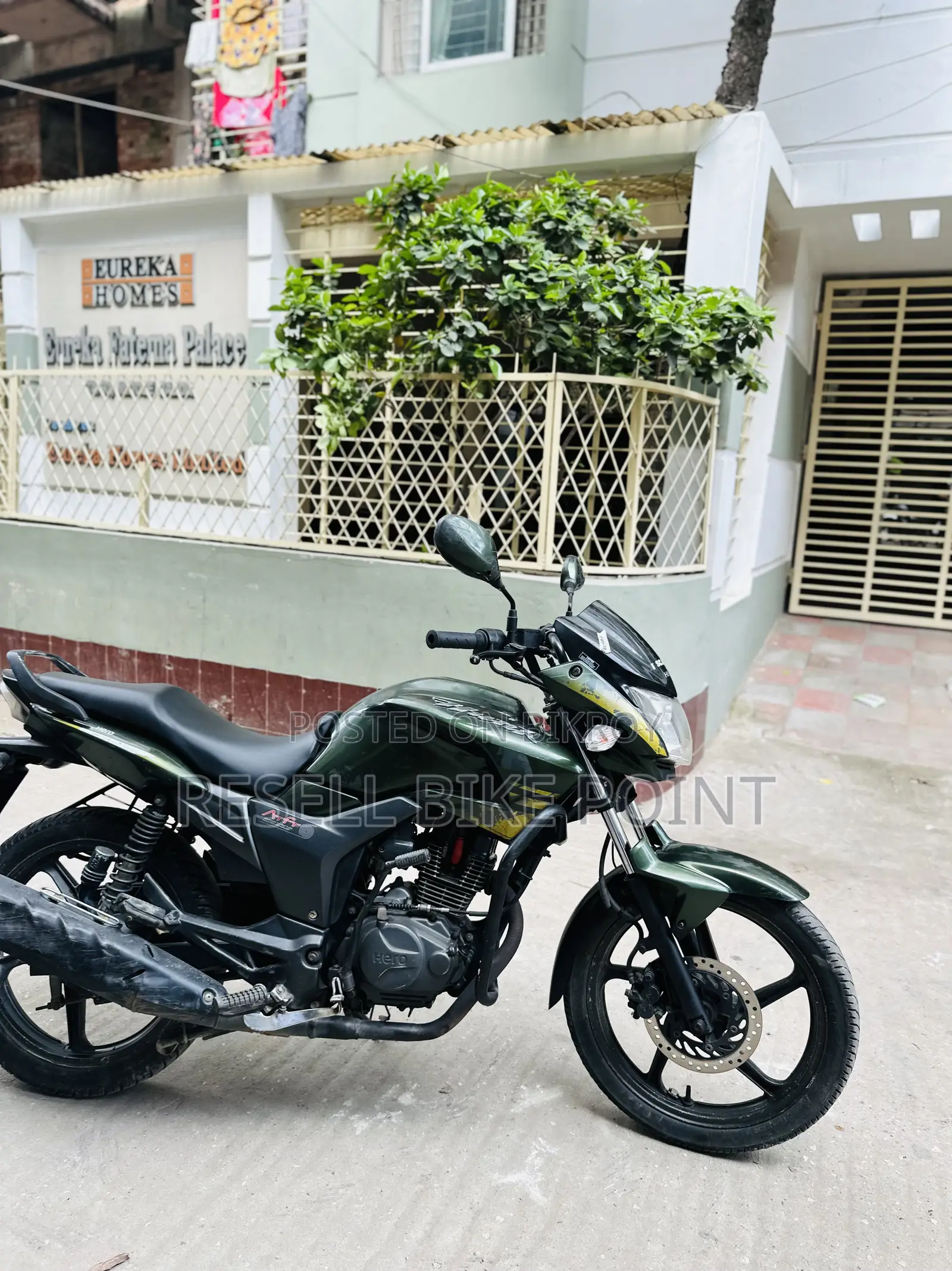 হিরো হাঙ্ক ২০১৯ সবুজ