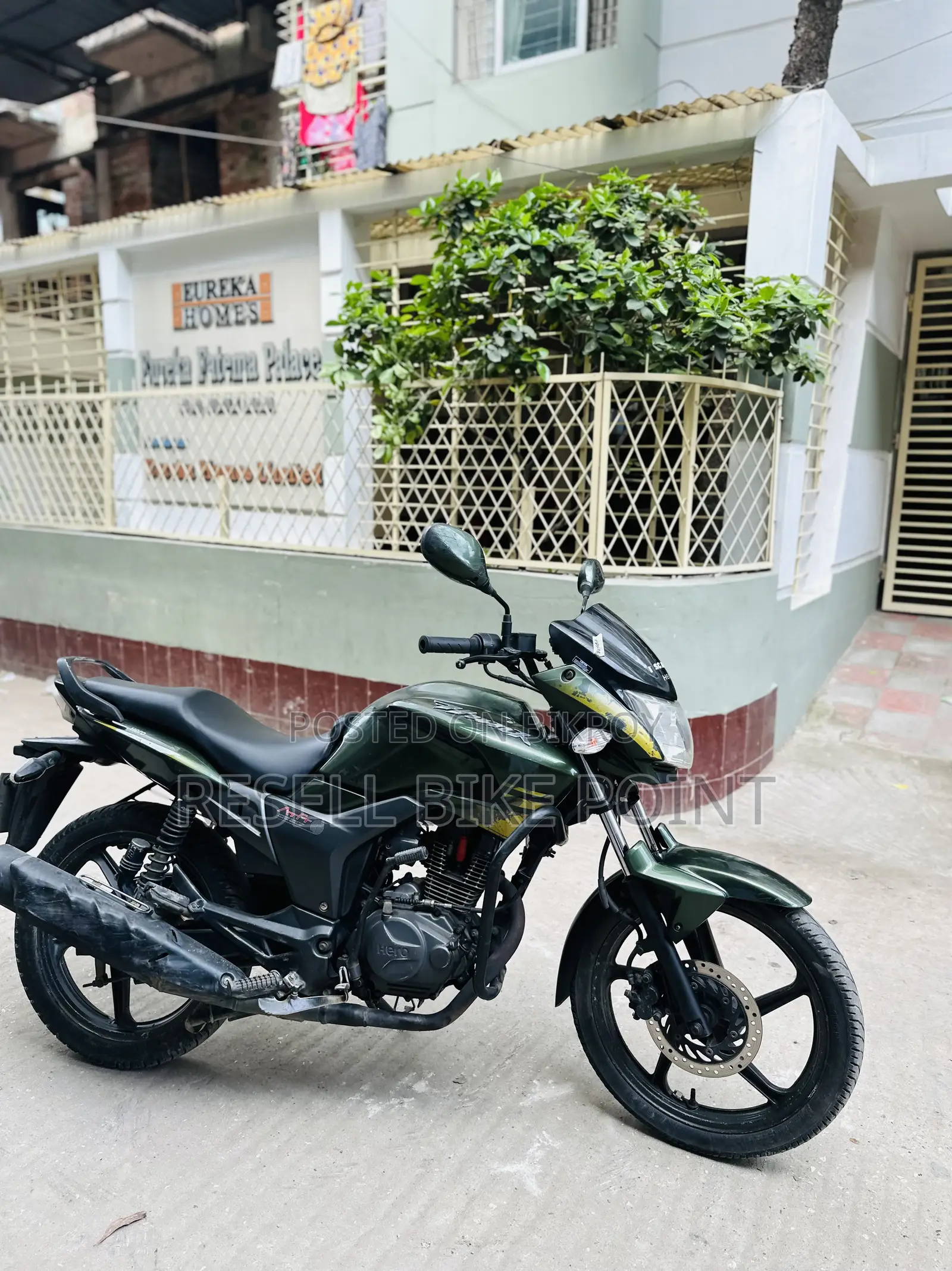 হিরো হাঙ্ক ২০১৯ সবুজ