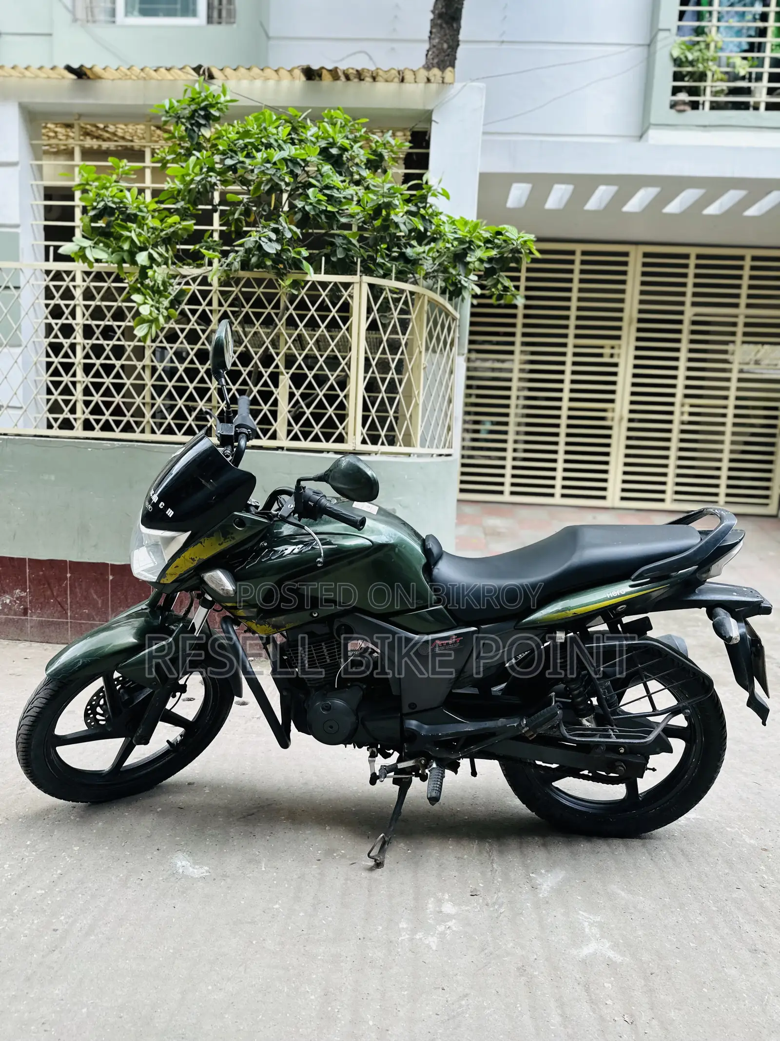হিরো হাঙ্ক ২০১৯ সবুজ