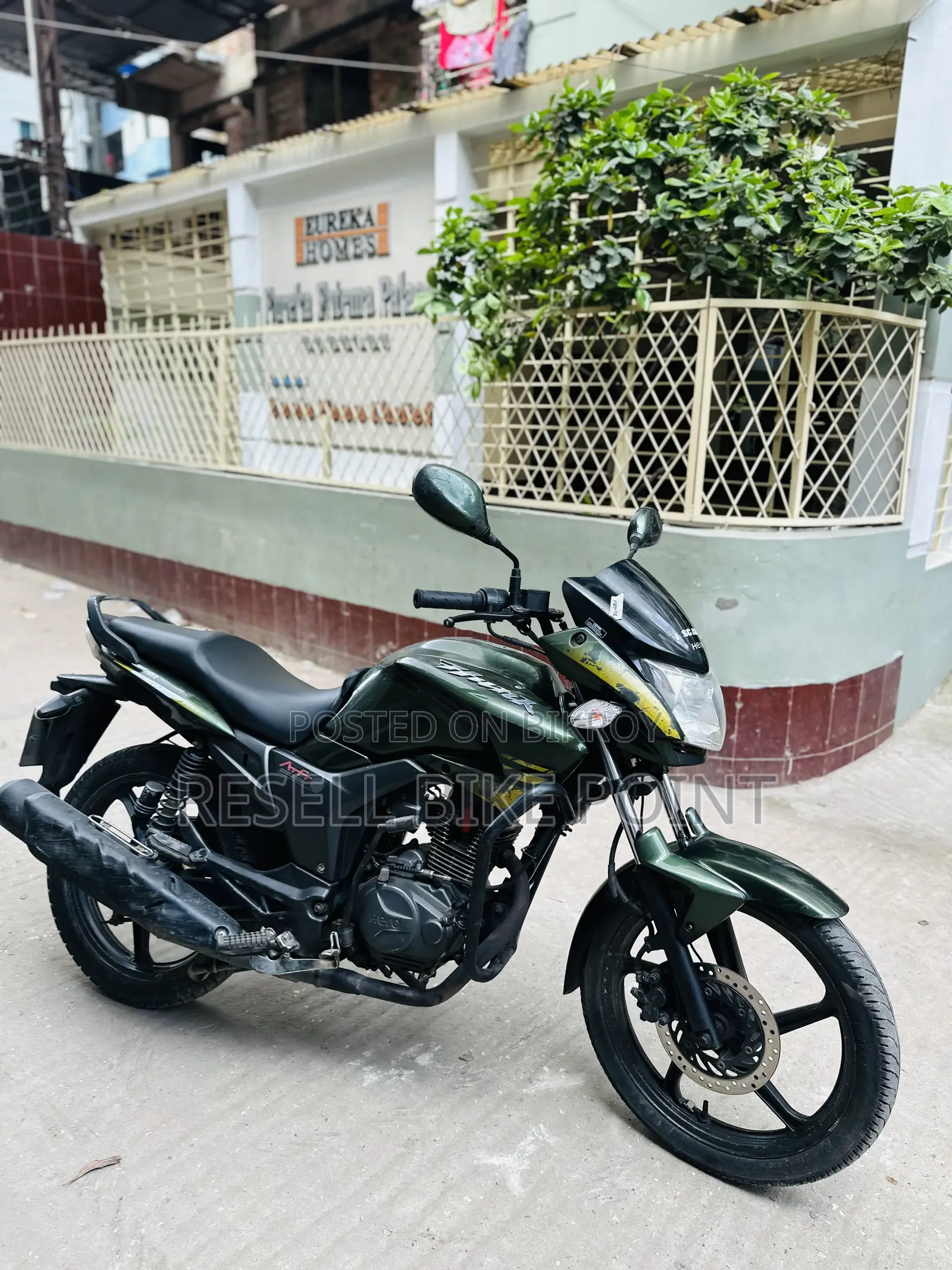 হিরো হাঙ্ক ২০১৯ সবুজ