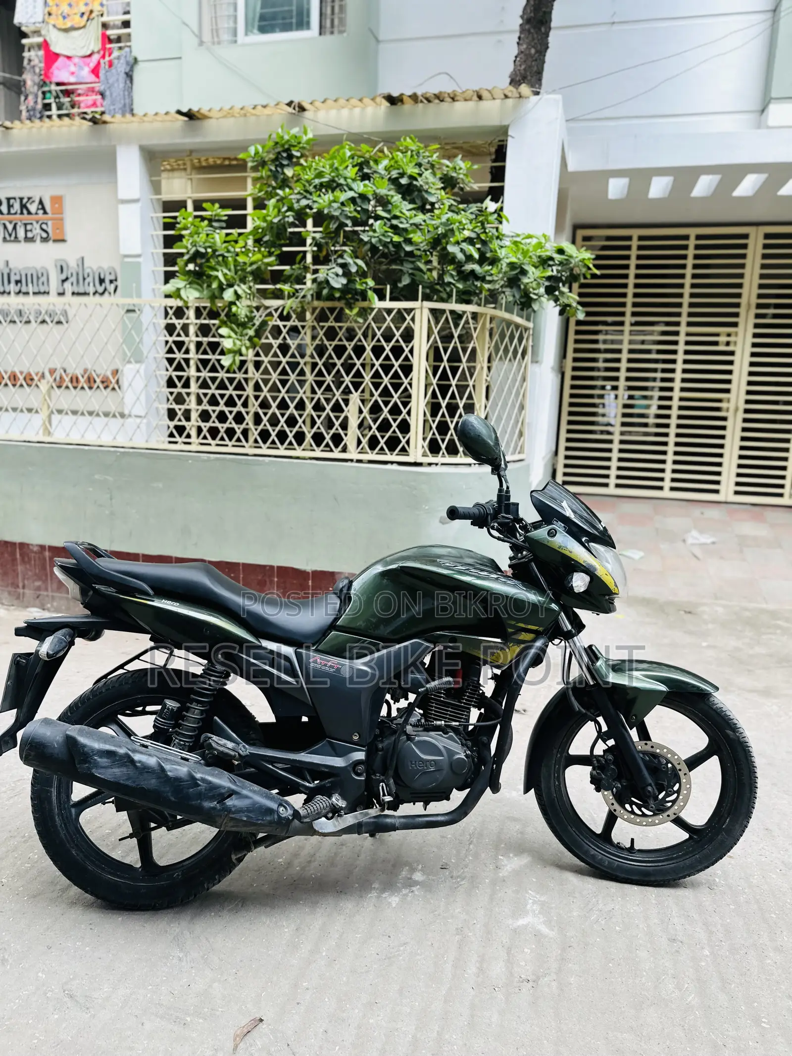 হিরো হাঙ্ক ২০১৯ সবুজ