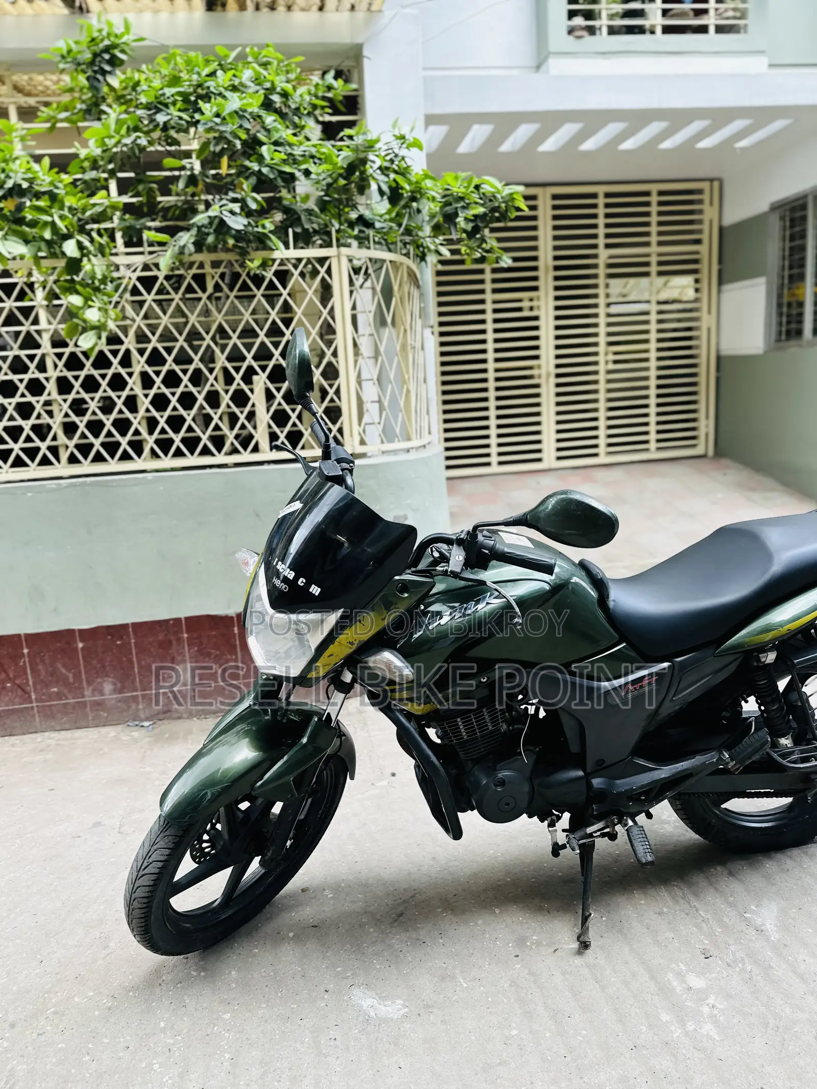 হিরো হাঙ্ক ২০১৯ সবুজ