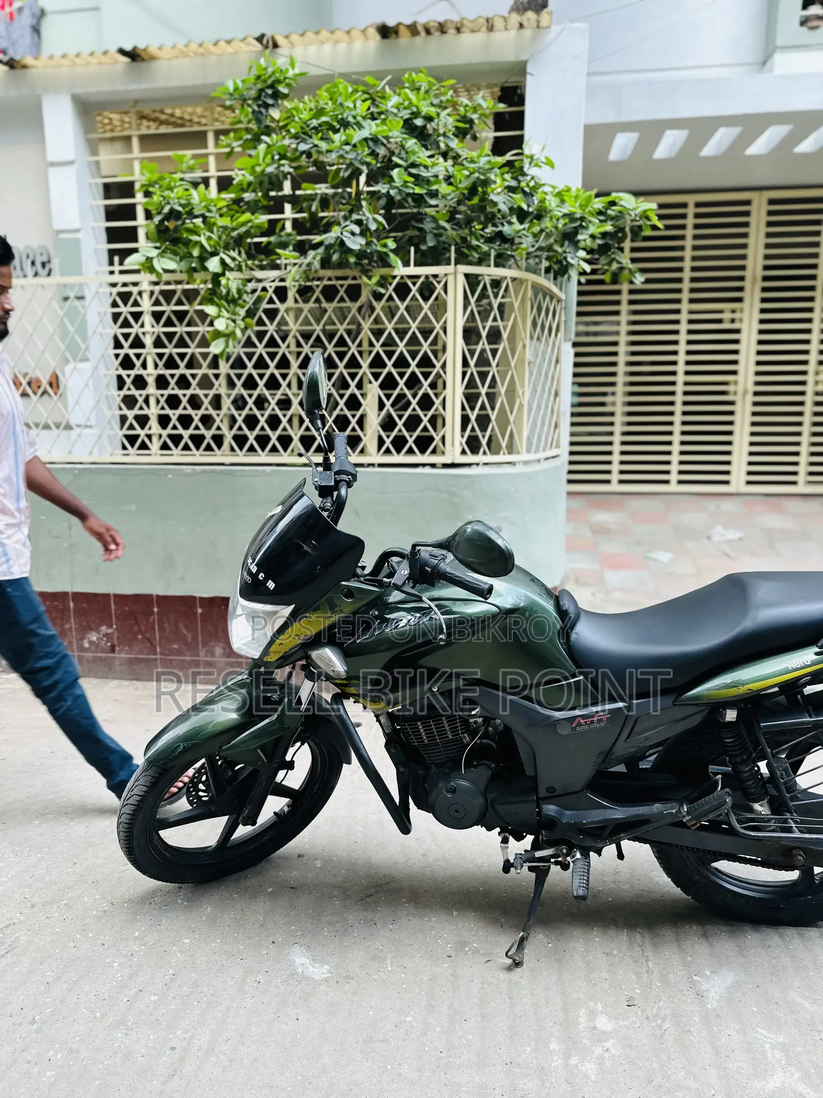 হিরো হাঙ্ক ২০১৯ সবুজ