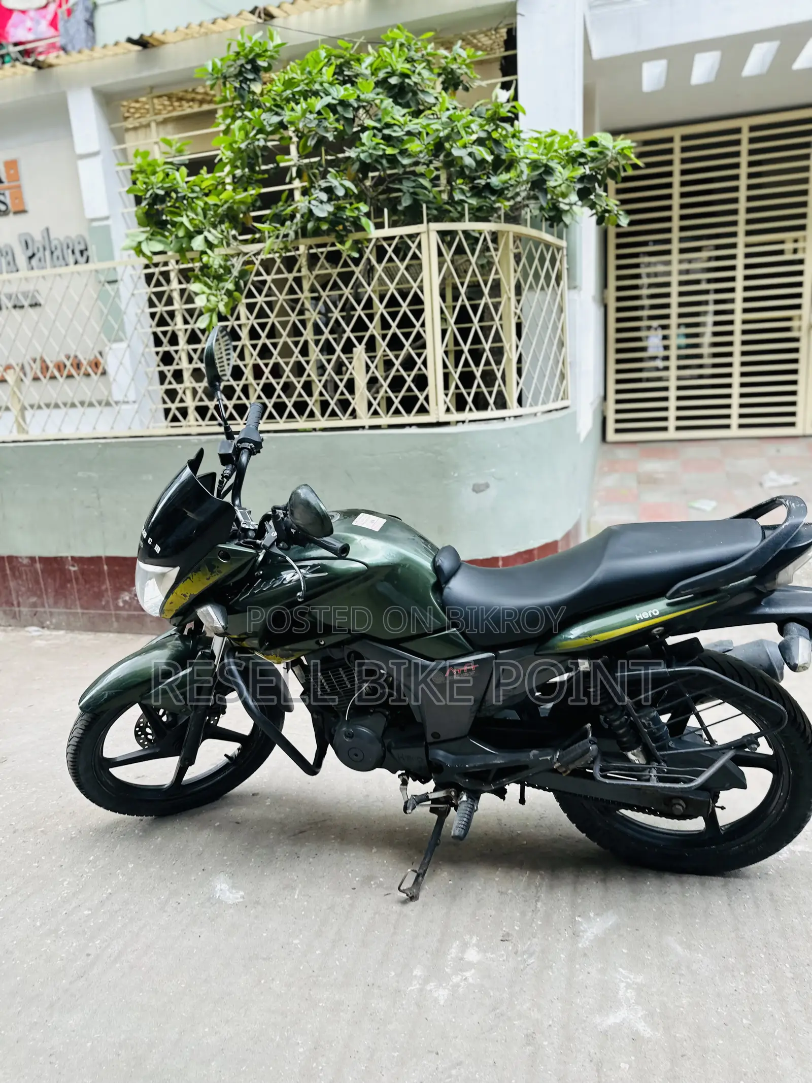 হিরো হাঙ্ক ২০১৯ সবুজ